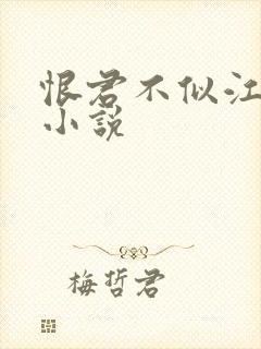 恨君不似江楼月小说