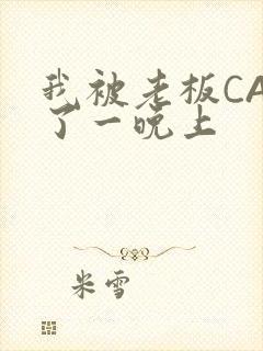 我被老板CAO了一晚上