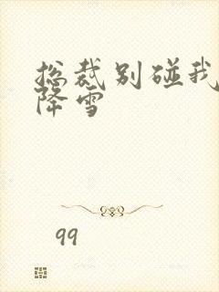 总裁别碰我 韩降雪