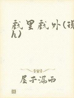 戏里戏外(现场h)