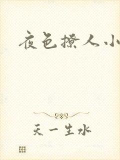 夜色撩人小说
