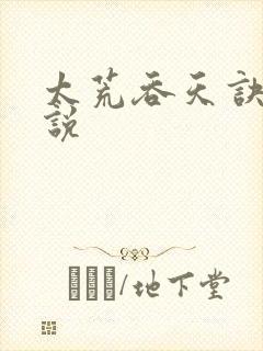 太荒吞天诀 小说