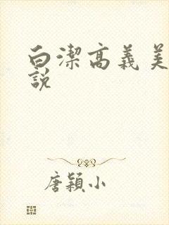 白洁高义美红小说