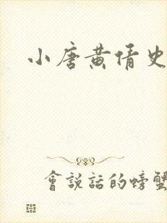 小唐黄倩史