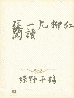 张一凡柳红免费阅读