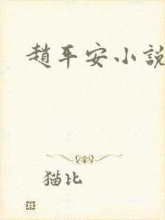 赵平安小说主角