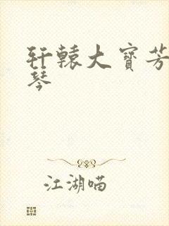 轩辕大宝芳菲雅琴