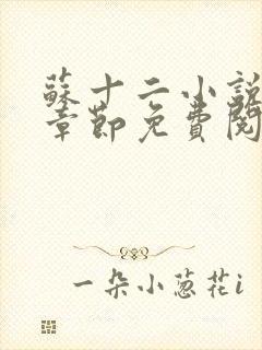 苏十二小说最新章节免费阅读