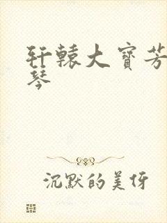 轩辕大宝芳菲雅琴