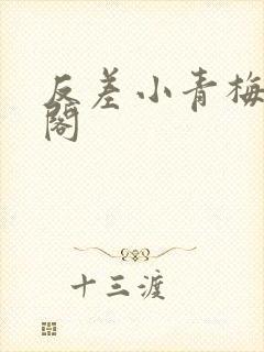 反差小青梅笔趣阁