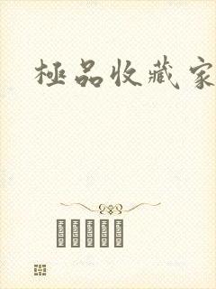 极品收藏家