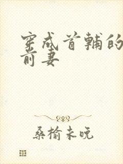 穿成首辅的炮灰前妻