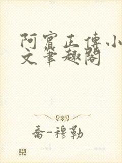 阿宾正传小说全文笔趣阁