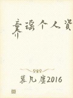 童瑶个人资料简介