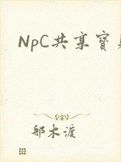 NpC共享宝贝
