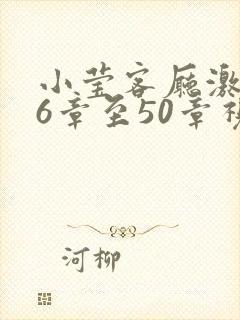 小莹客厅激情46章至50章视