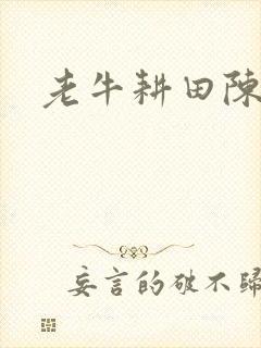 老牛耕田陈雪