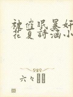 被催眠暴奸的校花夏诗涵小说