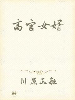 高官女婿
