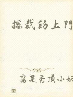 总裁的上门女婿