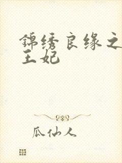 锦绣良缘之北地王妃