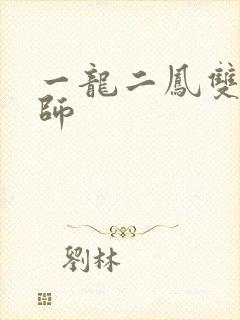 一龙二凤双飞老师