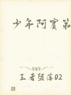 少年阿宾第二部