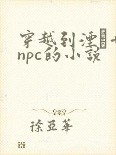 穿越到湮婸世界npc的小说