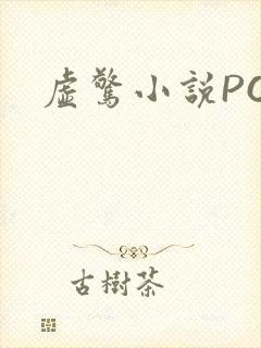 虚惊小说PO