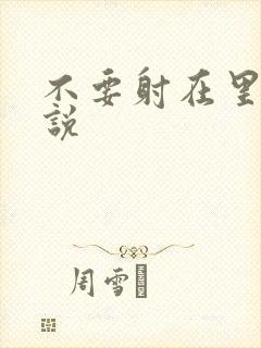 不要射在里面小说