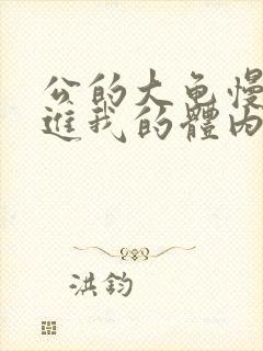 公的大龟慢慢挺进我的体内