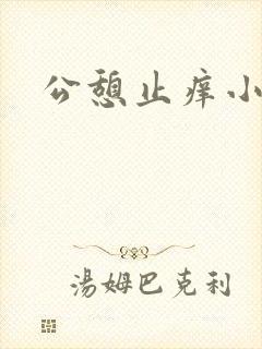 公憩止痒小说
