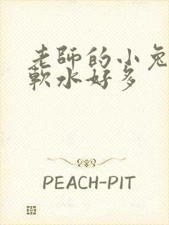 老师的小兔子好软水好多