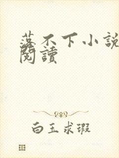 落不下小说免费阅读