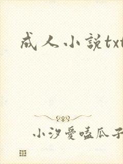 成人小说txt