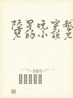 陆星晚穿越成婴儿的小说免费阅读全文