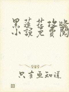 黑莲花攻略手册小说免费阅读