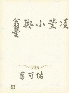 翁与小莹凌晨欢爱