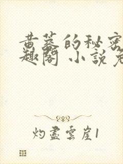 黄蓉的秘密 笔趣阁 小说免费阅读下载