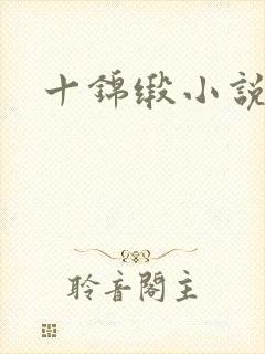 十锦缎小说