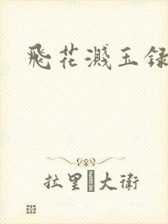 飞花溅玉录