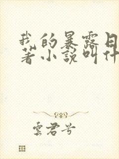 我的暴露日记原著小说叫什么