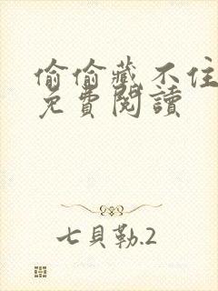 偷偷藏不住小说免费阅读