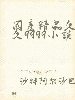 国产精品久久久久9999小说