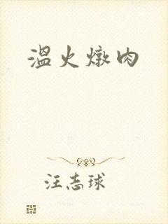 温火炖肉