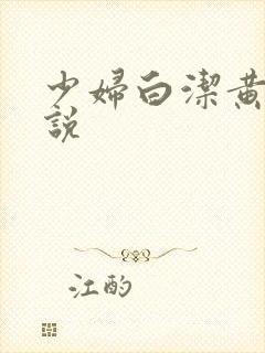 少妇白洁黄色小说