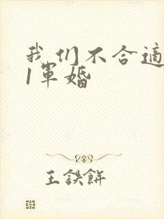 我们不合适1v1军婚