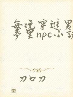 每晚穿进男神的梦里npc小说