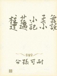 校花小柔舞蹈室遭遇记小说