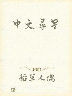 中文寻星